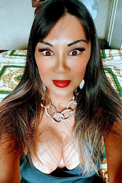 Foto selfie 26 di Vanessa Midori transex Faenza
