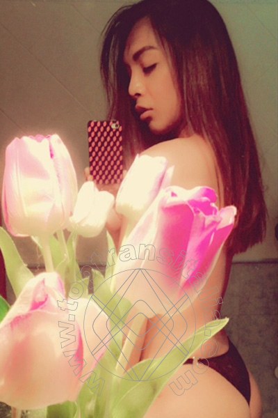 Foto selfie 18 di Mulan Asiatica transex Genova
