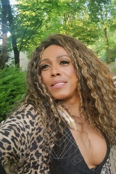 Foto selfie 16 di Paolina Mulatta transex Mestre