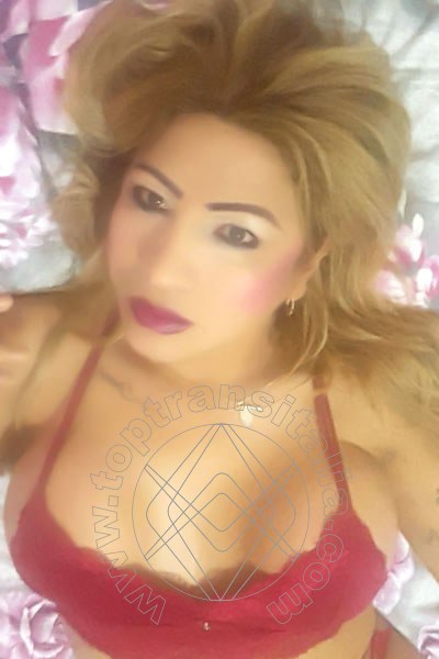 Foto selfie 35 di Sofia Vargas transex Anversa