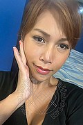 Foto selfie 2 di Liisa Asiatica Ladyboy transex Molfetta