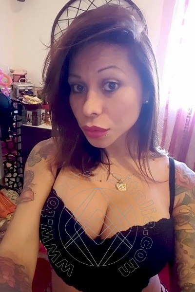 Foto selfie 249 di Alessandra Toledo Pornostar transex Rimini