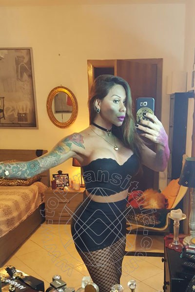 Foto selfie 205 di Alessandra Toledo Pornostar transex Rimini