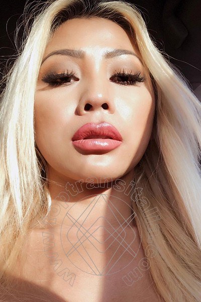 Foto selfie 12 di Vanessa Martinez transex Torino