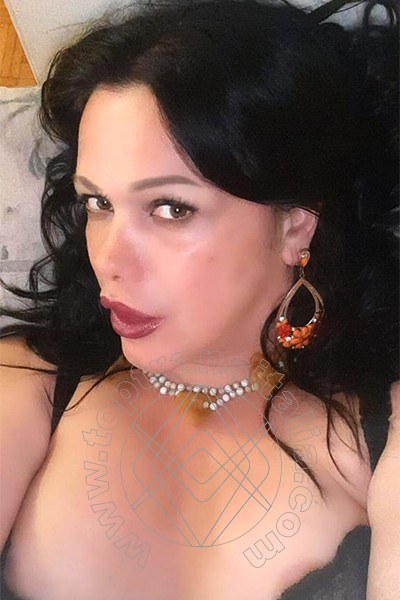 Foto selfie 42 di Suzana Pantera transex Bologna
