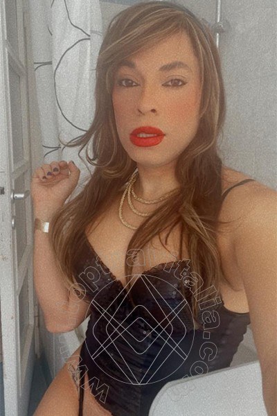 Foto selfie 14 di Niccole transex Torino