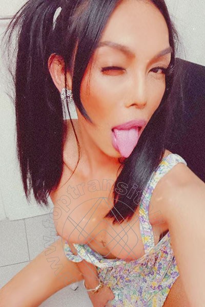 Foto selfie 5 di Mulan Asiatica transex Genova