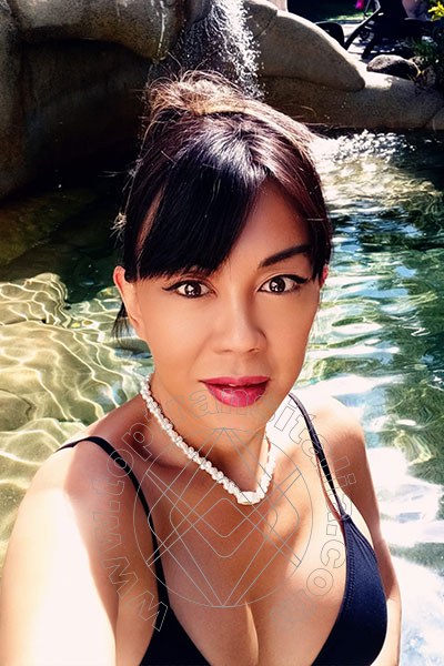 Foto selfie 7 di Vanessa transex Campi Bisenzio