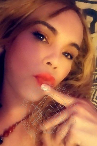 Foto selfie 29 di Giseli Dion transex Ponte Chiasso