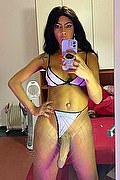 Foto selfie hot 2 di Vick Campana transex Roma