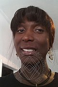 Foto selfie 1 di Serena Xl transex Malnate
