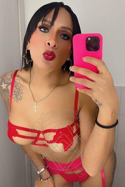 Foto selfie 8 di Viviana transex Sava