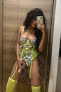 Foto selfie hot 2 di Miele transex Legnano