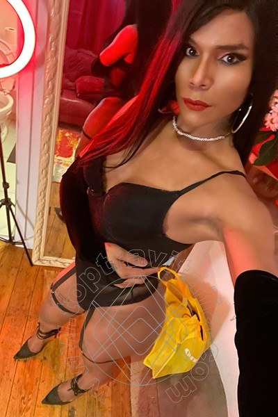 Foto selfie 6 di Paola transex Anversa