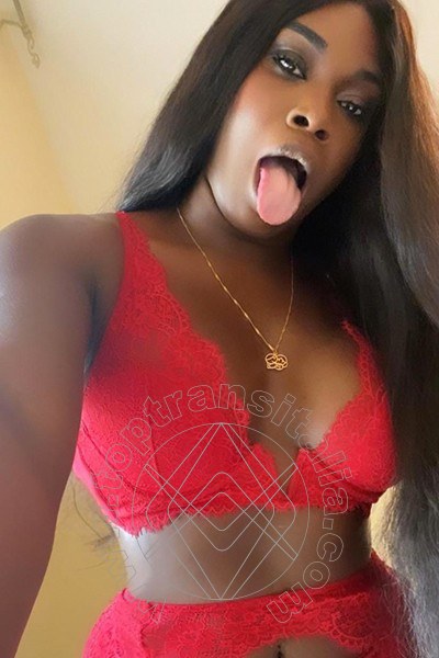 Foto selfie 15 di Paloma TerzaGamba transex Caserta