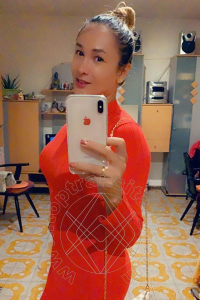 Foto selfie 44 di Gabriella Novita' transex Roma