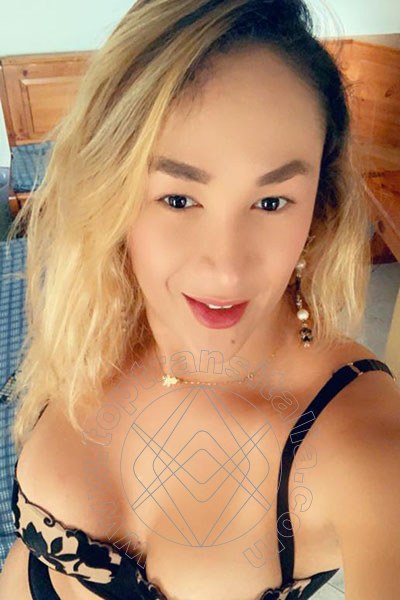 Foto selfie 34 di Gabriella Novita' transex Roma