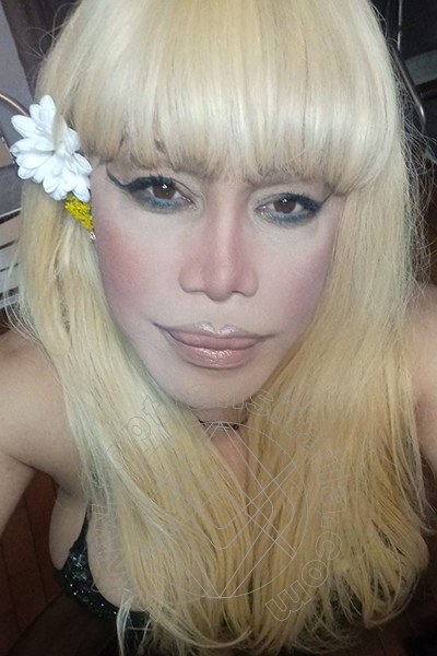 Foto selfie 119 di Nicole Vip Venturiny transex Milano