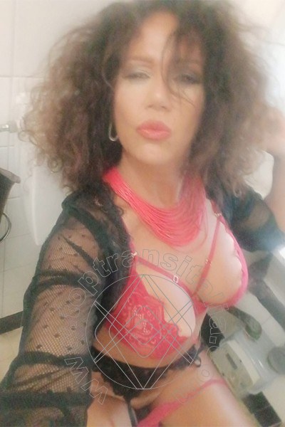 Foto selfie 13 di Alessia Sexy transex Livorno