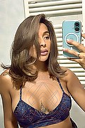 Foto selfie 1 di Miranda Sofia transex Las palmas de gran canaria