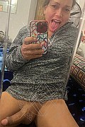 Foto selfie hot 2 di Stefany Costa transex Teramo