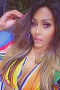 Foto selfie di Nicolly Hilton transex Somma lombardo