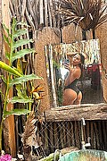 Foto selfie 1 di Roberta Maliziosa transex Olbia
