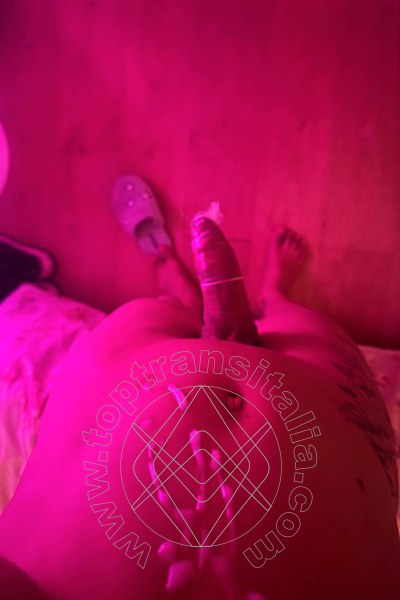 Foto selfie hot 3 di Lara melo transex Bologna