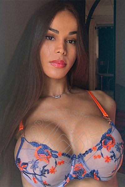 Foto selfie 15 di Yasmin Fonthys transex Bologna