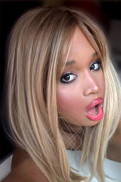 Foto selfie 3 di Evelyn Domenicana transex Cuneo