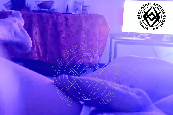 Foto selfie hot 2 di Sophie Massaggiatrice transex Piacenza