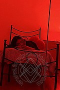 Foto selfie 2 di Gina Latina transex Brescia