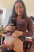 Foto selfie hot 1 di Stefany Costa transex Teramo