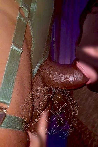 Foto selfie hot 2 di Paloma TerzaGamba transex Caserta