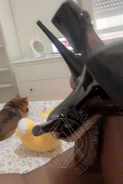 Foto selfie 14 di Keylla Rios transex Genova
