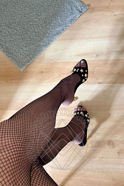 Foto selfie 8 di Valeria transex Treviso
