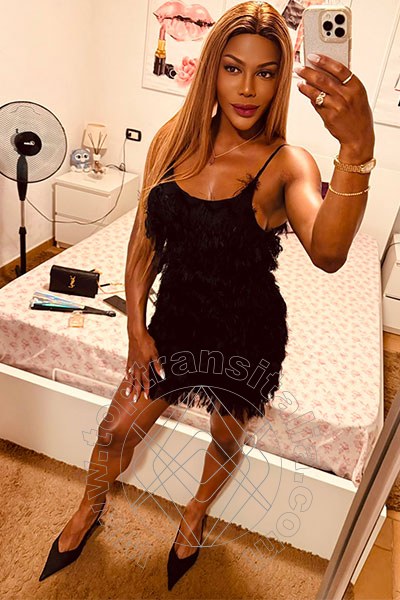 Foto selfie 2 di Ivy Müller transex Bergamo