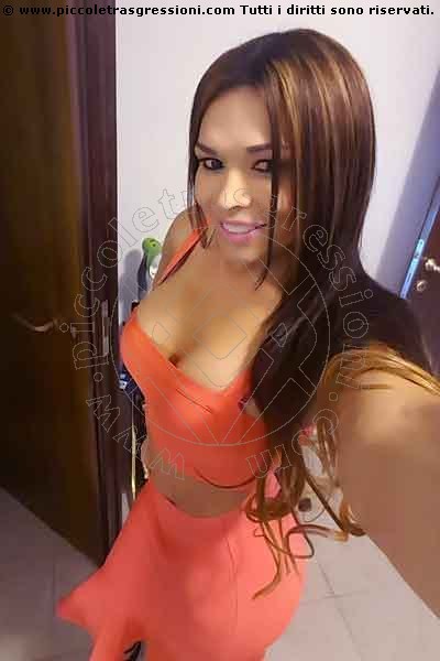 Foto selfie 117 di Daniela Kosan transex New York